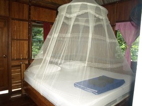 Khaosok Palmview