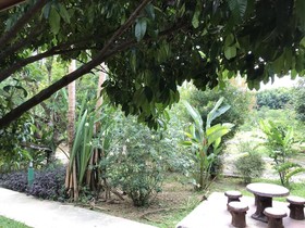 The Royal Bamboo Lodge