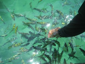 Krabi Discovery Resort