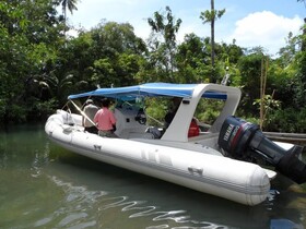 Paradis Vert