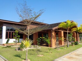 Paradis Vert