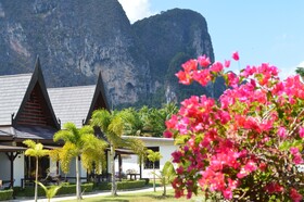 Paradis Vert