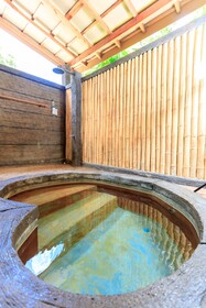 Saline Hot Spring Resort