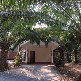 Sweet Dream Resort
