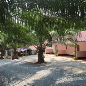 Sweet Dream Resort