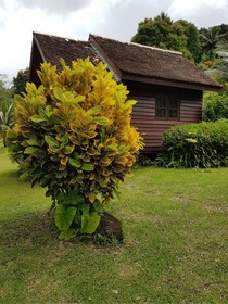 Phanom Bencha Mountain Resort