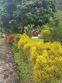 Phanom Bencha Mountain Resort