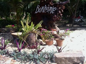 Bonhomie Beach Cottages