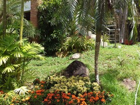 Freedom Estate