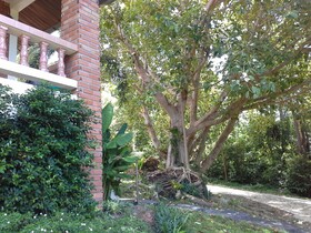 Freedom Estate