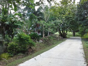 Freedom Estate