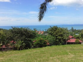Freedom Estate