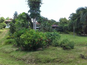 Freedom Estate