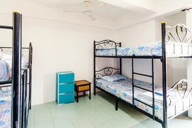 Paulee's House