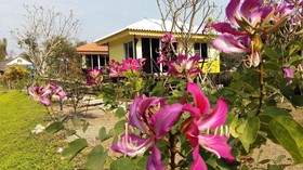 Baan Sri Chiangdao