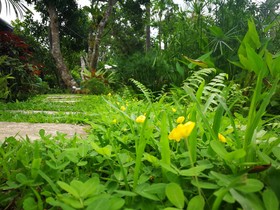 Buraphat Resort