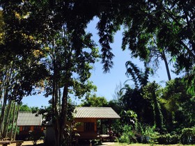 Chiang Dao Hut