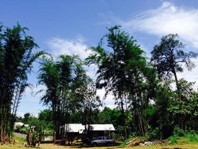 Chiang Dao Hut