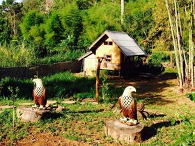 Chiang Dao Hut
