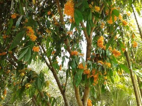 Huan Chiang Dao Resort