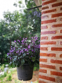 Phu Vara Villa