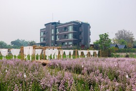 The View Chiang Dao Hotel