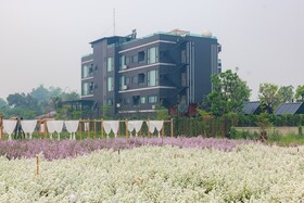 The View Chiang Dao Hotel