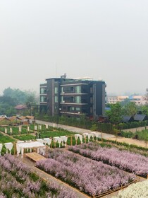 The View Chiang Dao Hotel