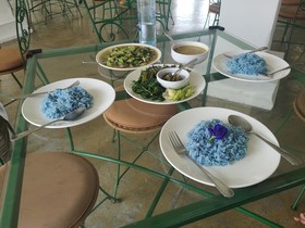 Amaravati Wellness Resort