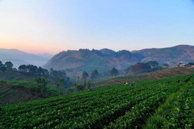 Angkhang Nature Resort