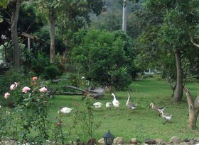 At Home Chiang Dao Resort