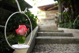 At Nata Chiangmai Chic Jungle