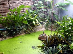 Baan Arlhan Hostel