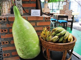 Baan Jaja Guesthouse