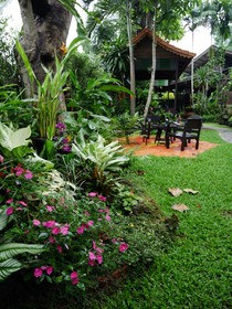 Baankiri