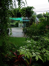Baankiri
