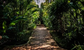 Baanpong Lodge
