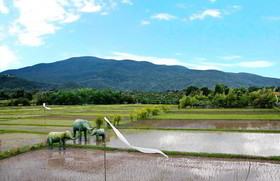 Oasis Baan Saen Doi