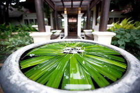 Oasis Baan Saen Doi