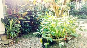 Baan Songjum Homestay