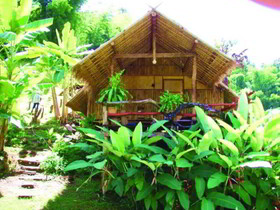Bamboo Country Lodge