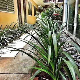 Banilah Guesthouse