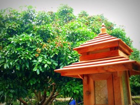 Bansuan Thanormpat Resort