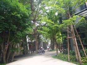 BB House Chaingmai