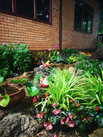 Boutique House Nipha