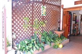 Bow Chiangmai House