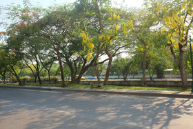 Buonanotte Chiangmai