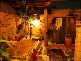 Capital O 75421 Baan Singkham Boutique Resort