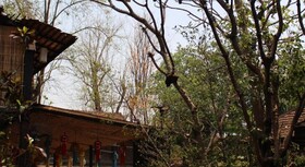 Capital O 75421 Baan Singkham Boutique Resort