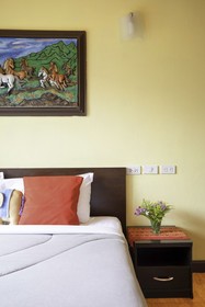 Cat House Guesthouse